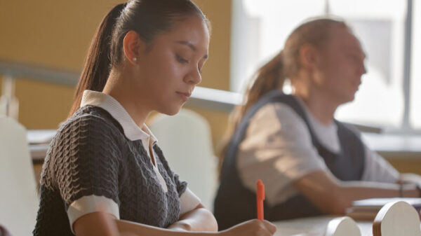 Belas Artes Vestibular