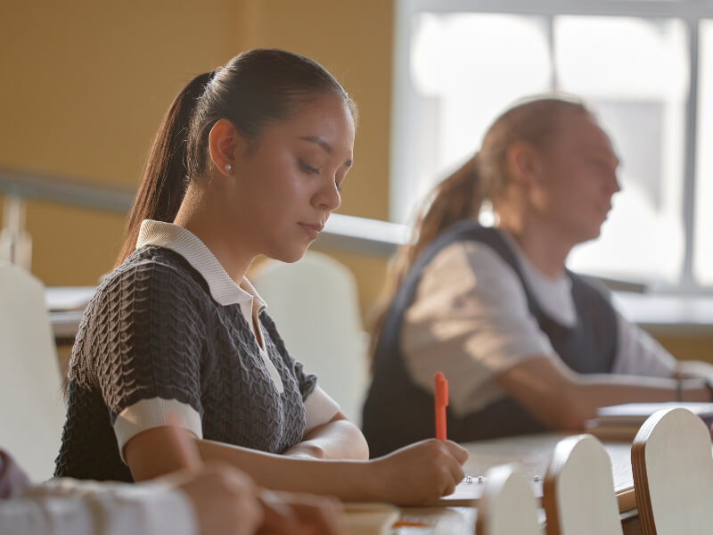 Belas Artes Vestibular